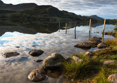 Refleksjoner