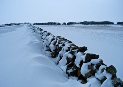 Langs steingarden