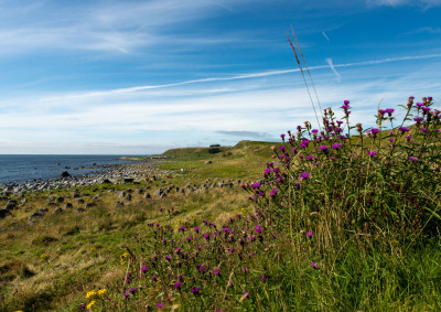 Blomsterrike