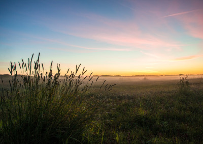 Solnedgang