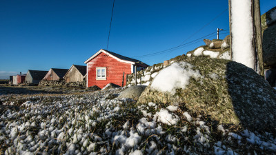 Vinter i havnen