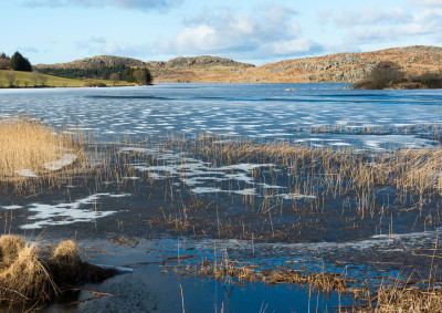 Vinter i vannet