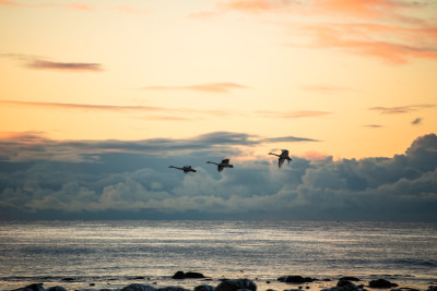 Landing ved solnedgang