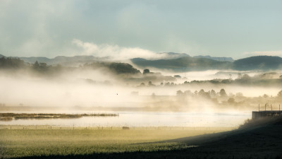 Tidlig morgen