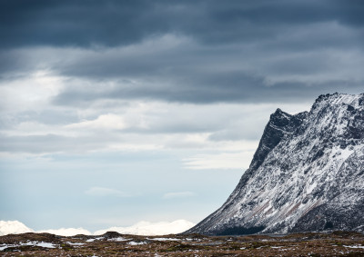 Bare ørnen mangler