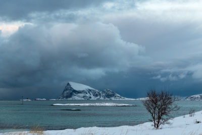 Håja ved Sommerøy