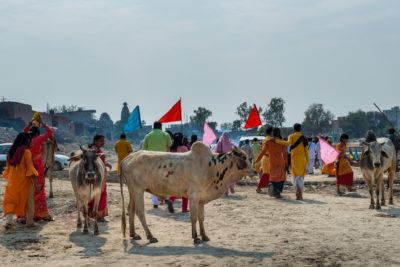 Samling på stranden