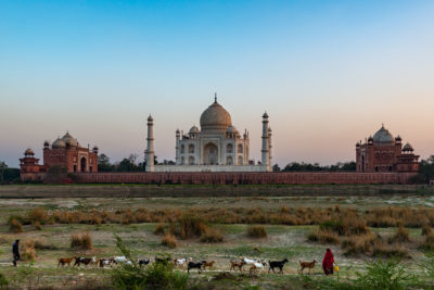 Gjeitene ved Taj Mahal