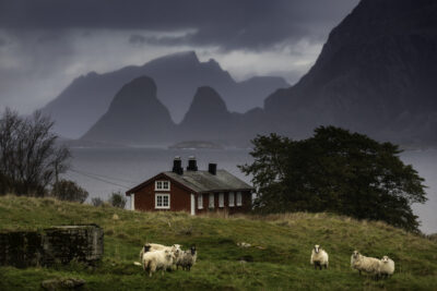 Det røde huset