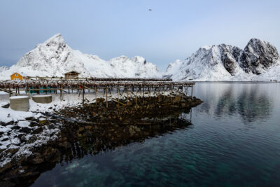 Sakrisøy